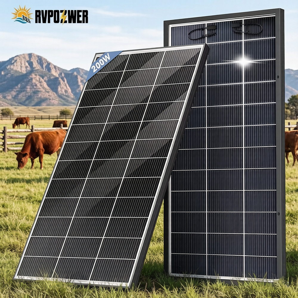 Panel Solar Bifacial RVPOZWER  - Solar Panel 200W reseña y precio